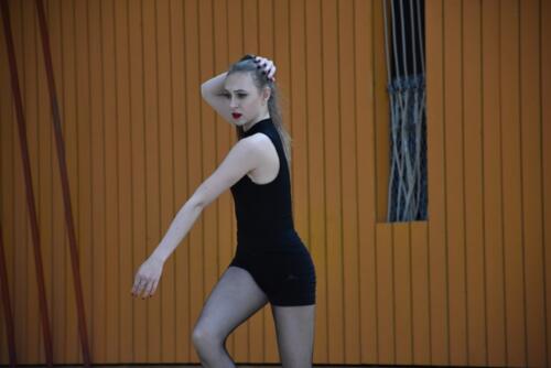 dsc 9524 48061053041 o