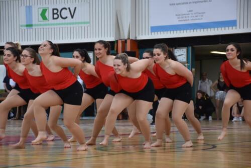 dsc 9595 48061099453 o