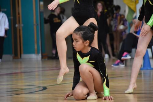 dsc 9797 48061179563 o