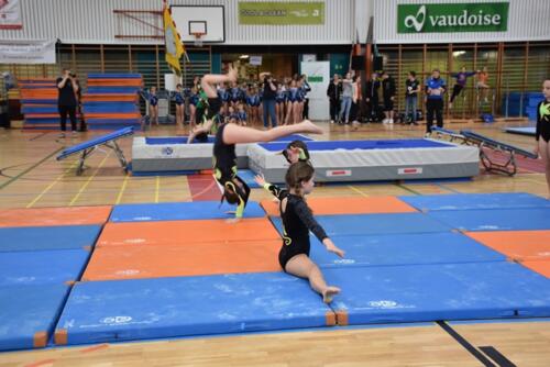 dsc 9952 48061228062 o