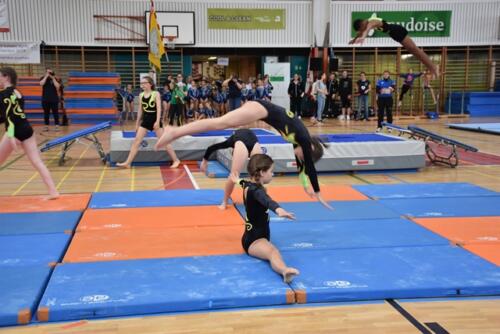 dsc 9954 48061129166 o
