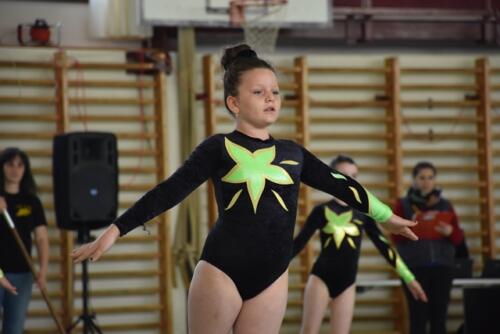 dsc 9150 48061005797 o