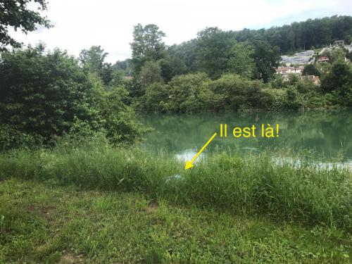 il-est-l 49992780342 o