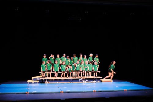 eric-berger_gymrolle__005