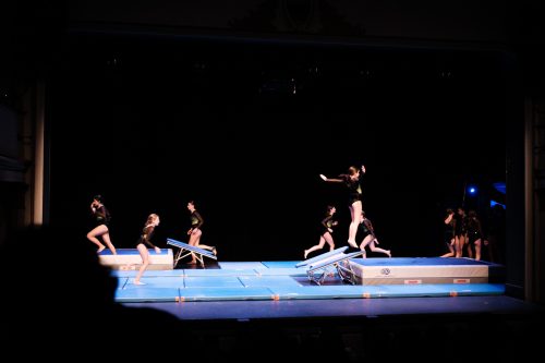 eric-berger_gymrolle__058